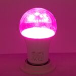 SIJA.E27 9W A60 LED ECO PLANT GROWTH MITEA 5124 - Image 2